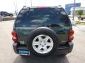 2002 Shale Green Metallic Jeep Liberty Sport 4x4  photo #6