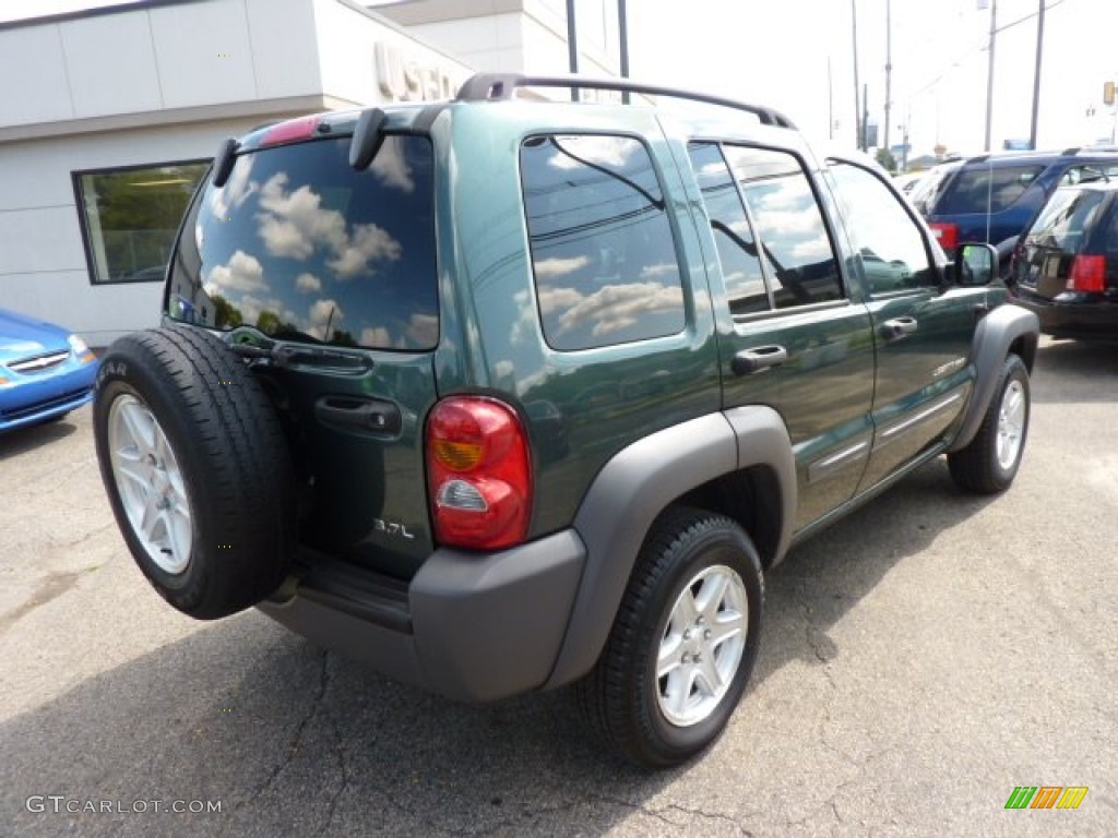 2002 Liberty Sport 4x4 - Shale Green Metallic / Dark Slate Gray photo #7