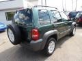 2002 Shale Green Metallic Jeep Liberty Sport 4x4  photo #7