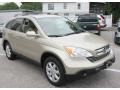 2007 Borrego Beige Metallic Honda CR-V EX-L 4WD  photo #3