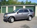 2011 Sterling Grey Metallic Ford Escape XLT V6 4WD  photo #1