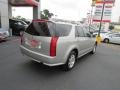 Light Platinum - SRX V6 Photo No. 7