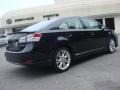 2010 Black Sapphire Pearl Lexus HS 250h Hybrid Premium  photo #4