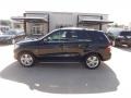 Black - ML 350 4Matic Photo No. 2