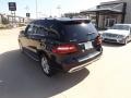 Black - ML 350 4Matic Photo No. 3