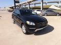 Black - ML 350 4Matic Photo No. 7