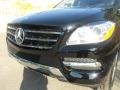 Black - ML 350 4Matic Photo No. 5