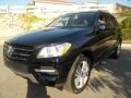 Black - ML 350 4Matic Photo No. 12