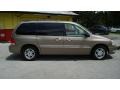 2005 Arizona Beige Metallic Ford Freestar SEL  photo #2