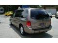 Arizona Beige Metallic - Freestar SEL Photo No. 5