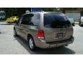 2005 Arizona Beige Metallic Ford Freestar SEL  photo #5