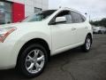 2010 Phantom White Nissan Rogue SL AWD  photo #2