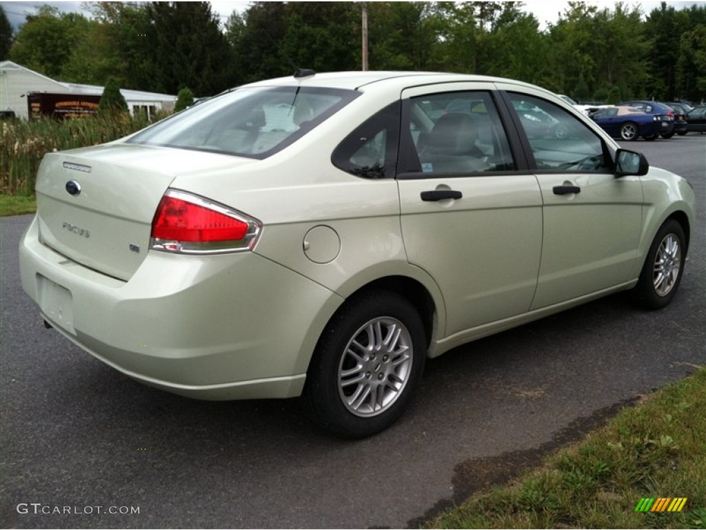 Natural Neutral Metallic 2010 Ford Focus SE Sedan Exterior Photo #70385169