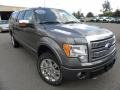 Sterling Grey Metallic - F150 Platinum SuperCrew 4x4 Photo No. 1