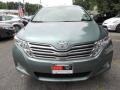 Aloe Green Metallic - Venza V6 Photo No. 4