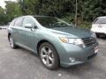 Aloe Green Metallic - Venza V6 Photo No. 5