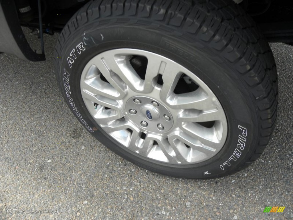 2010 Ford F150 Platinum SuperCrew 4x4 Wheel Photo #70388781