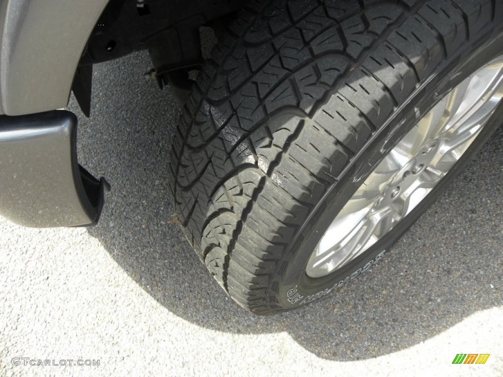 2010 F150 Platinum SuperCrew 4x4 - Sterling Grey Metallic / Medium Stone Leather/Sienna Brown photo #19