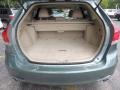 Aloe Green Metallic - Venza V6 Photo No. 8