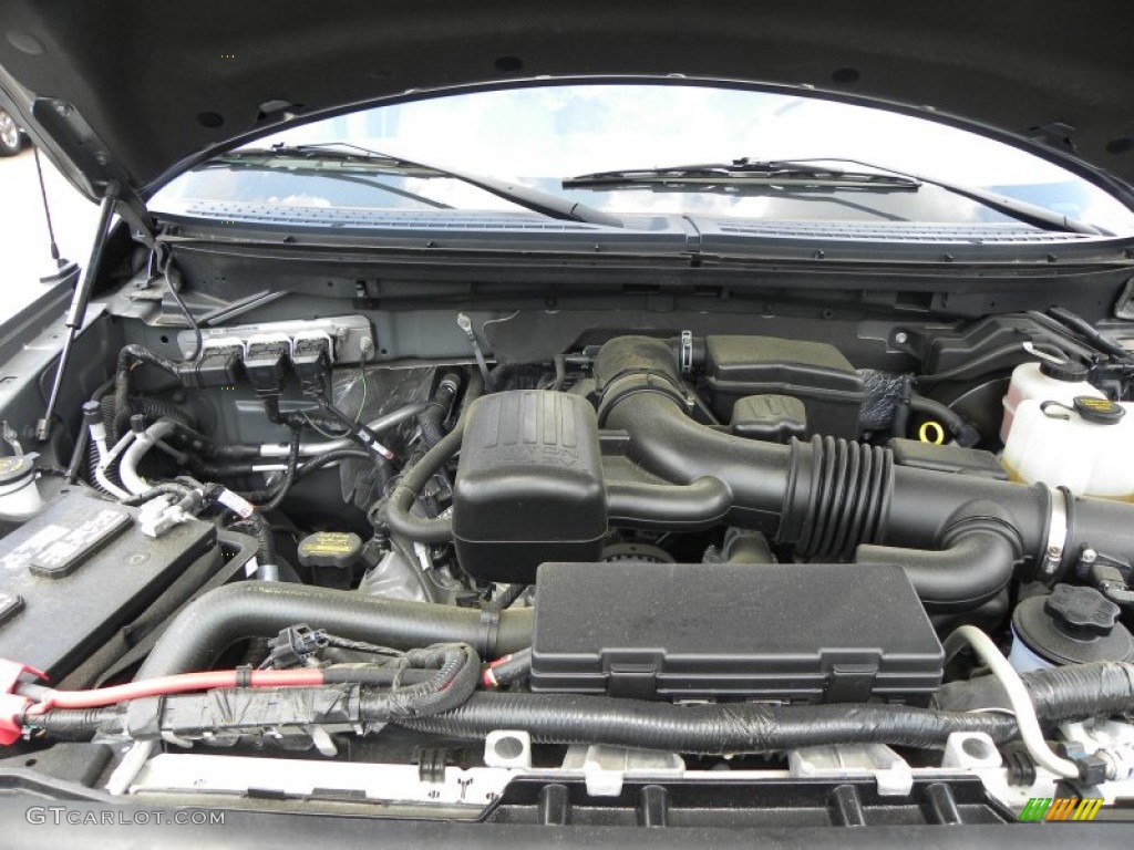 2010 Ford F150 Platinum SuperCrew 4x4 5.4 Liter Flex-Fuel SOHC 24-Valve VVT Triton V8 Engine Photo #70388796