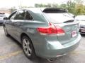 Aloe Green Metallic - Venza V6 Photo No. 9