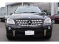 Black - ML 350 4Matic Photo No. 2