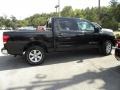 Galaxy Black - Titan SV Crew Cab Photo No. 11