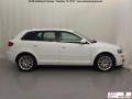 2008 Ibis White Audi A3 2.0T  photo #6