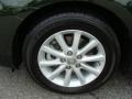 Spruce Mica - Camry XLE Photo No. 14