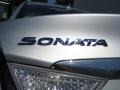 Silver Frost Metallic - Sonata Hybrid Photo No. 14