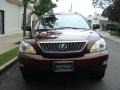 2009 Brandywine Mica Lexus RX 350 AWD  photo #2