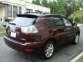 2009 Brandywine Mica Lexus RX 350 AWD  photo #4