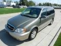 2005 Sage Green Metallic Kia Sedona EX  photo #7