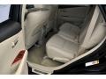 2010 Obsidian Black Lexus RX 450h AWD Hybrid  photo #15