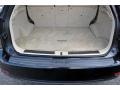 2010 Obsidian Black Lexus RX 450h AWD Hybrid  photo #16