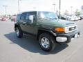 2010 Army Green Toyota FJ Cruiser 4WD  photo #8