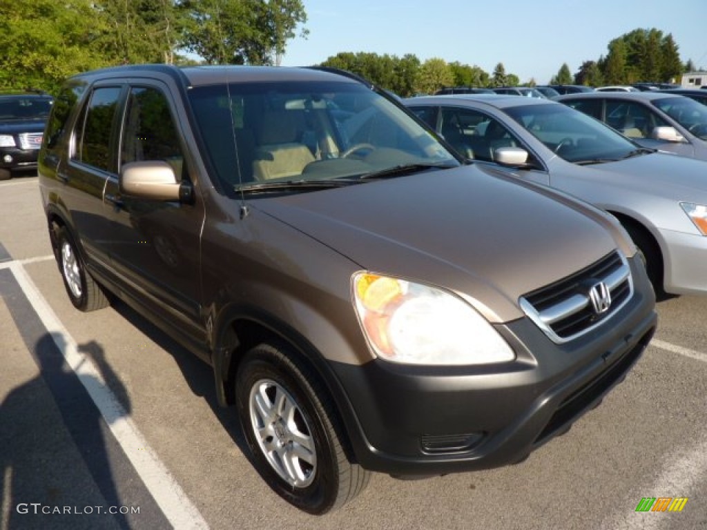 2003 CR-V EX 4WD - Mojave Mist Metallic / Saddle photo #1