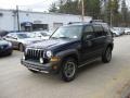 Midnight Blue Pearl - Liberty Renegade 4x4 Photo No. 10