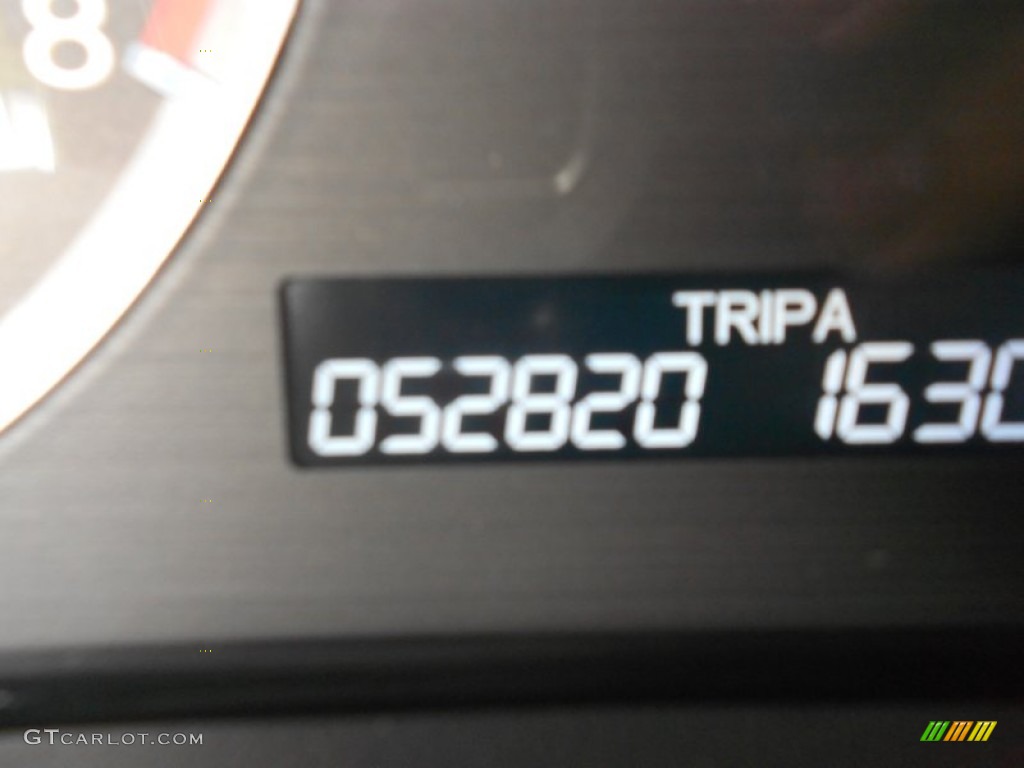 2009 Accord EX-L Sedan - Belize Blue Pearl / Gray photo #4