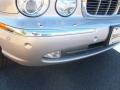 Platinum Silver Metallic - XJ Vanden Plas Photo No. 8