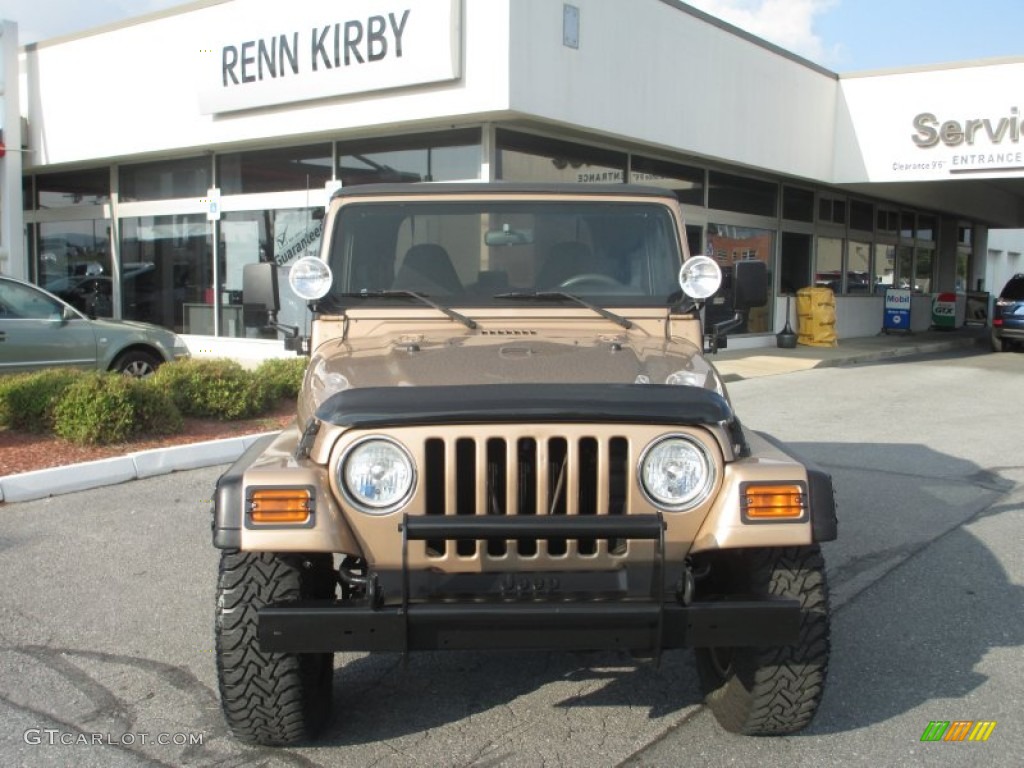 2000 Wrangler Sport 4x4 - Desert Sand Pearl / Camel photo #7