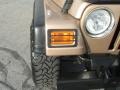 2000 Desert Sand Pearl Jeep Wrangler Sport 4x4  photo #11
