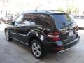 Black - ML 350 Photo No. 7