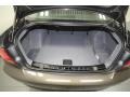Black Trunk Photo for 2010 BMW 3 Series #70422586