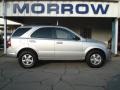 Bright Silver - Sorento LX 4x4 Photo No. 1