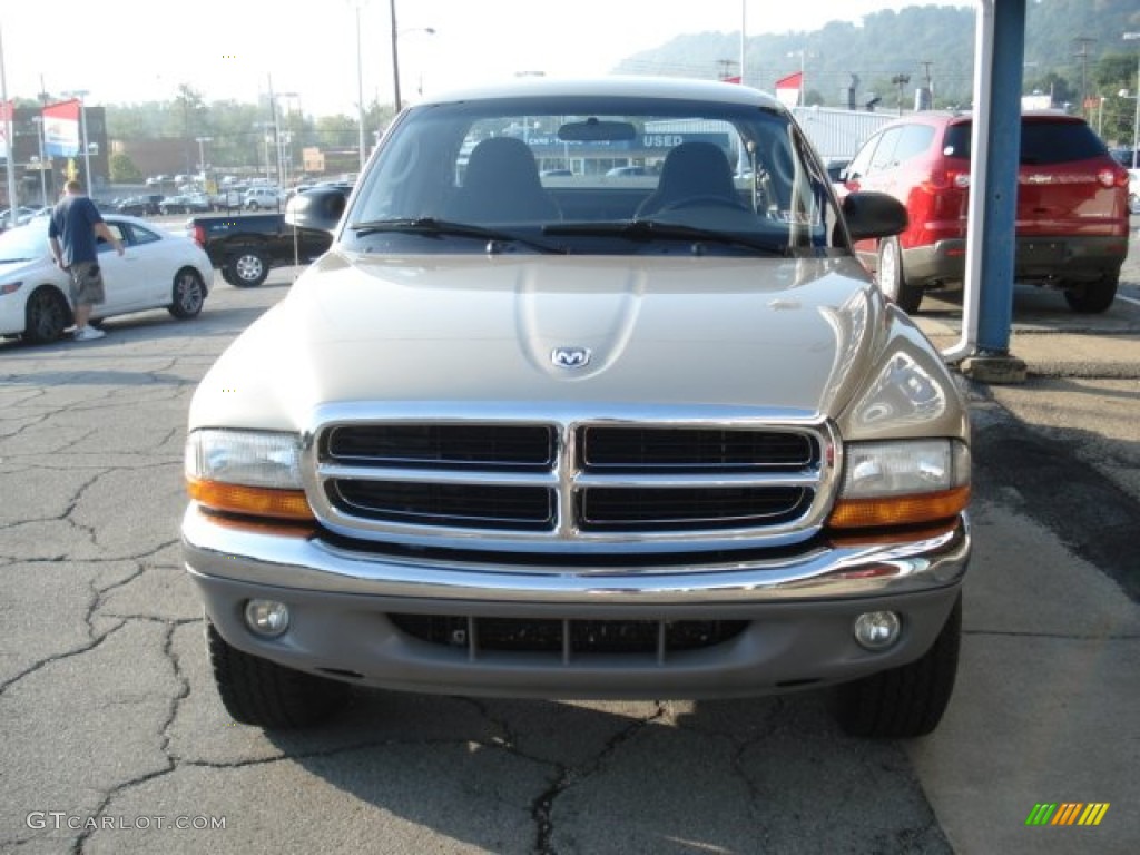 2004 Dakota SLT Club Cab 4x4 - Light Almond Pearl Metallic / Dark Slate Gray photo #3