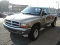 2004 Light Almond Pearl Metallic Dodge Dakota SLT Club Cab 4x4  photo #4