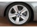 2010 Space Gray Metallic BMW 3 Series 335i Convertible  photo #41