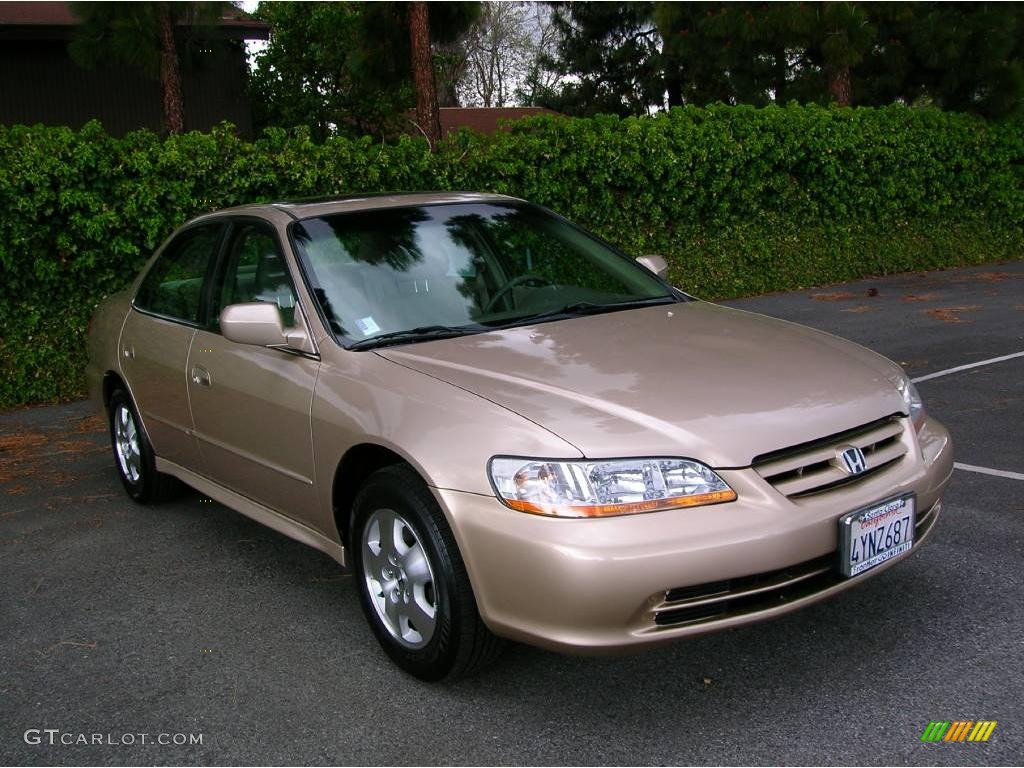 2002 Accord EX V6 Sedan - Naples Gold Metallic / Ivory photo #4