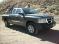 2008 Mineral Gray Metallic Dodge Dakota ST Extended Cab  photo #32